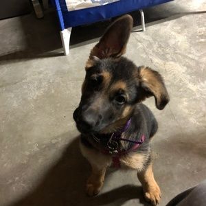 Meet your Posher, Julia